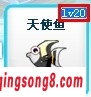 ͼ