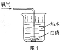 实验设计